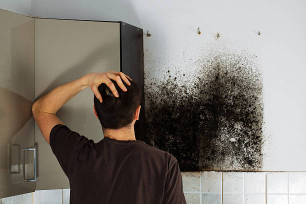 Best Crawl Space Mold Removal  in West University Place, TX